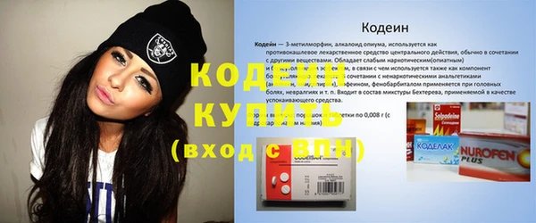 гашик Бородино