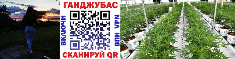 МАРИХУАНА THC 21%  Дигора 